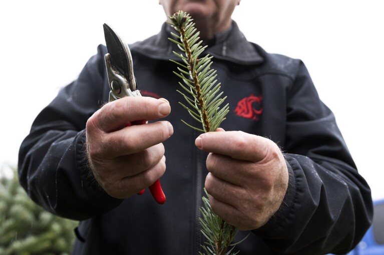 Gary Chastagner, a Washington State University professor called 