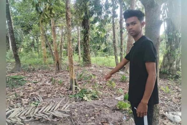 Amir points to the spot wher<em></em>e the bear was captured near his home in Kampung Padang Serai, Setiu.