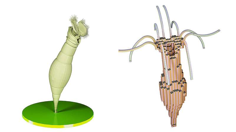 Morphogenesis of self-assembling microelectro<em></em>nic modules could yield sustainable living technology