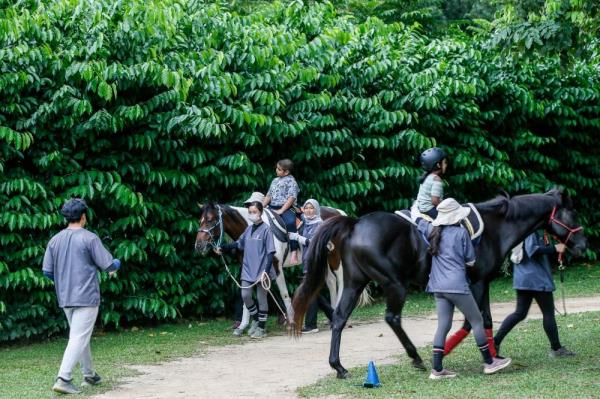 As animal-aided therapy progresses in Malaysia, how man’s second best friend gives special needs kids renewed hope