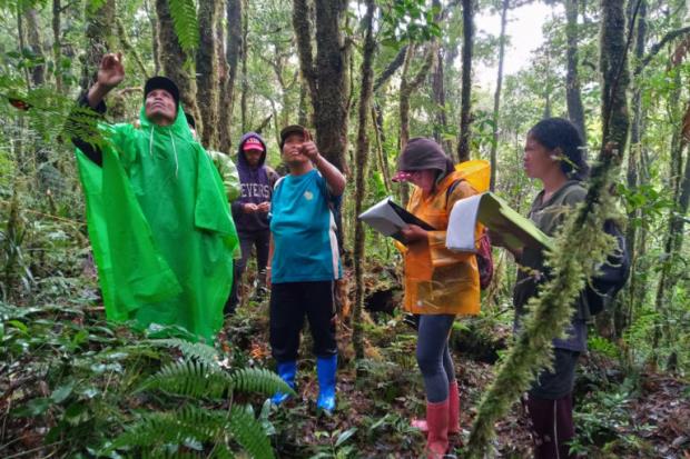 A biodiversity and forest carbon stock assessment.