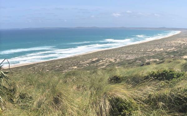 Long Beach, Petre Bay at the Chatham Islands.