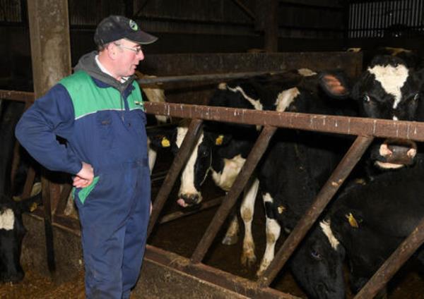  DJ Keohane on his farm in Timoleague, Co Cork. Picture: David Keane