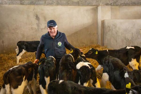 Martin Crowe, in Doon, Co Limerick with his calves. Picture: Kieran Ryan-Benson