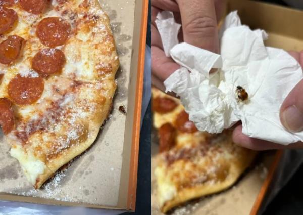 'I called outlet 28 times': Woman finds cockroach in pizza from Little Caesars, gets no respo<em></em>nse from chain