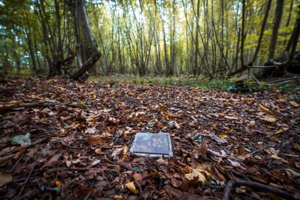 A photograph taken in Muttersholtz showing a paving stone with a commemorative plaque in a forest sanctuary wher<em></em>e people can choose the place wher<em></em>e they will rest after their death.