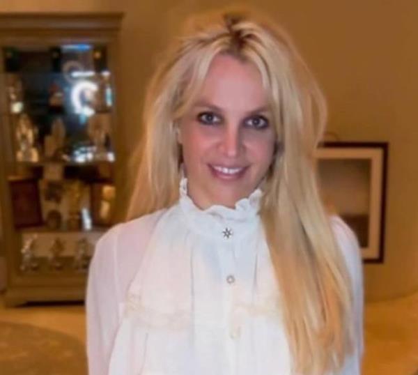 Britney Spears fans regularly share co<em></em>ncerns over the singer. Credit: Instagram/@britneyspears