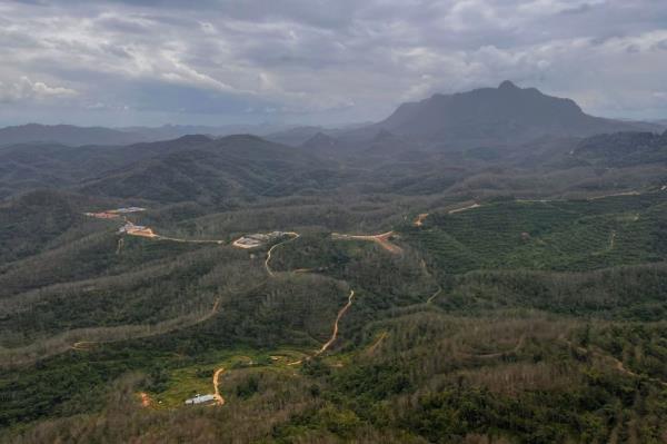 Orang Asli group urges Kelantan govt to review forestry and wildlife laws, says unco<em></em>ntrolled land clearing putting lives at risk 