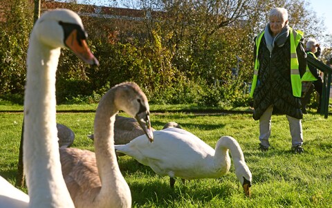 Sue Eyles, a retired NHS manager, set up the group a<em></em>bout five weeks ago