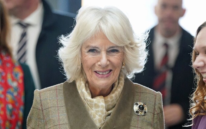 Camilla reassured royal fans the King would be 'fine'