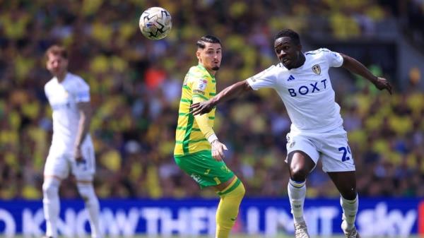 Borja Sainz and Wilfried Gno<em></em>nto battle it out at Carrow Road