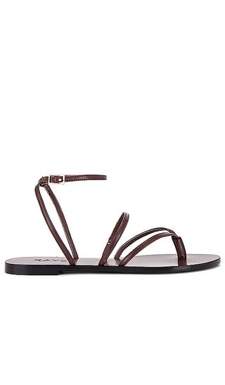 Void Sandal