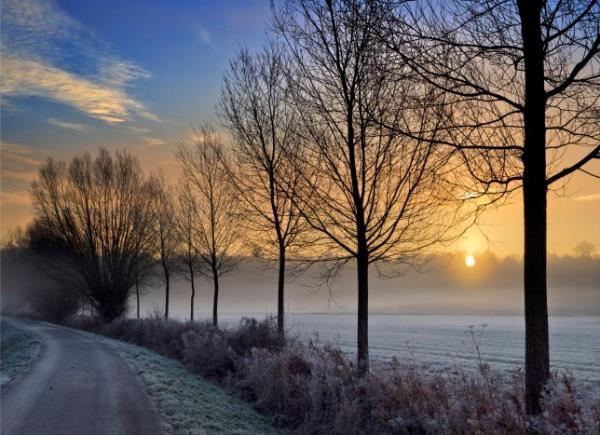 One of my favorite row of trees, anywher<em></em>e. And it happens to be in my home village of Radley in Oxfordshire, England. It's close to the Thames, prone to flooding and also to fog rising from the river. It manages to look pretty just a<em></em>bout throughout the year, and particularly here in mid-winter, with hard frost sprinkling the ground, as the sun rises. (Photo by: Planet One Images/UCG/Universal Images Group via Getty Images)