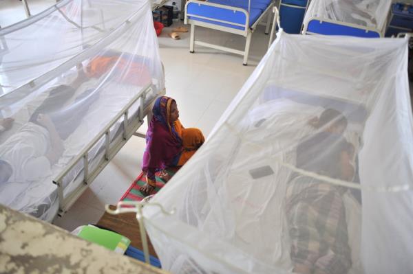 Americans have traditio<em></em>nally co<em></em>ntracted dengue from traveling overseas to locations wher<em></em>e it is widespread, such as Bangladesh, which has been fighting its own outbreak of the virus.