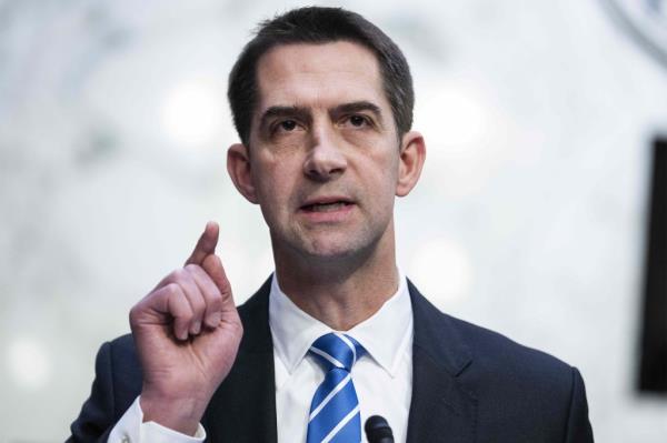 Sen. Tom Cotton is calling on the Department of Homeland Security to deport foreign nationals, including people in the U.S. on student visas, who have expressed support for Hamas' attack on Israel. 