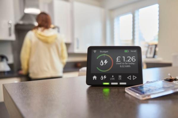 Live energy co<em></em>nsumption and cost readings on household smart meter