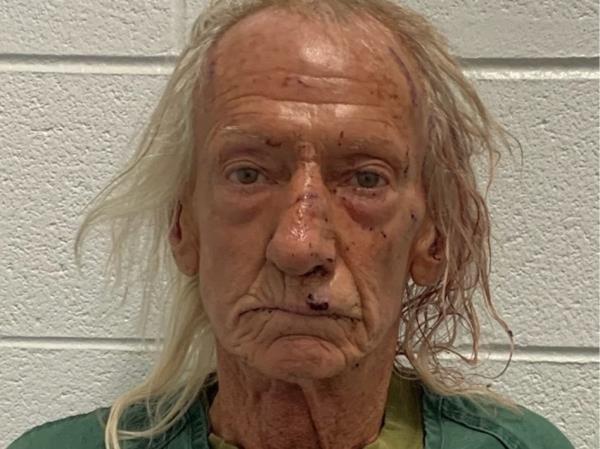 Joseph M. Czuba, 71 arrested for fatally stabbing a 6 year old child and stabbing  a woman dozens of times