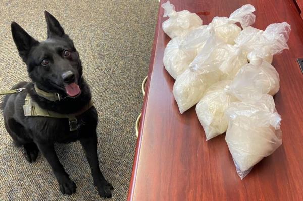 The California K-9 found ten pounds of meth hidden in dog treat boxes