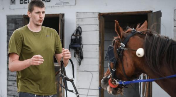 jokic with a horse