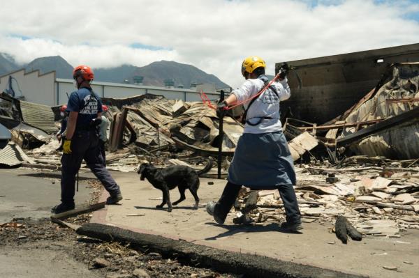 Crews using cadaver dogs have scoured a<em></em>bout 32% of the area, the County of Maui said in a statement Tuesday.