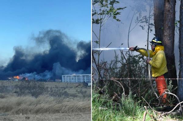 Hawaii wildfires