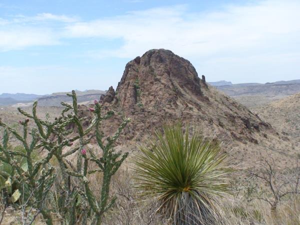 Big Bend Ranch State Park. 