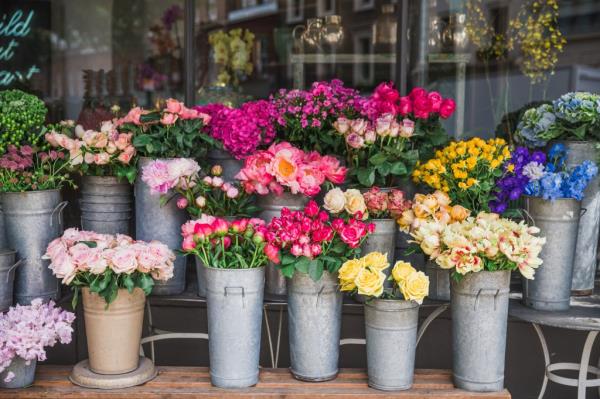 The south is not immune to unnecessary regulation — in Louisiana, florists must have a formal license to tend to, well, flowers.