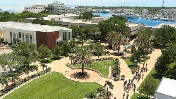 The University of South Florida