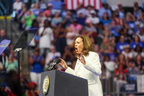 Democratic presidential nominee Vice President Kamala Harris speaks during a rally at Enmarket Arena.