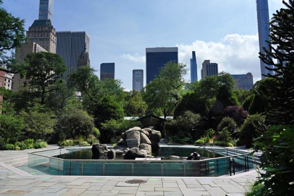 A view of the sea lion pool at Central Park Zoo as the city enters Phase 4 of re-opening following restrictions imposed to slow the spread of coro<em></em>navirus on July 23, 2020 in New York City. 