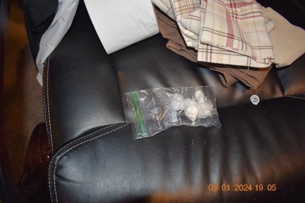 Drugs seized from the home