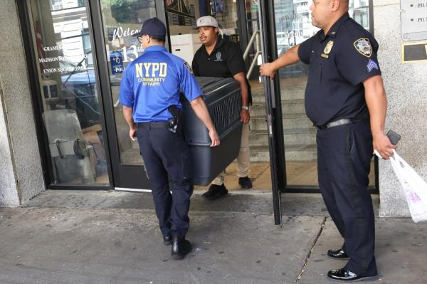 The dog being removed from the NYPD's 13th Precinct in a crate following the attack.