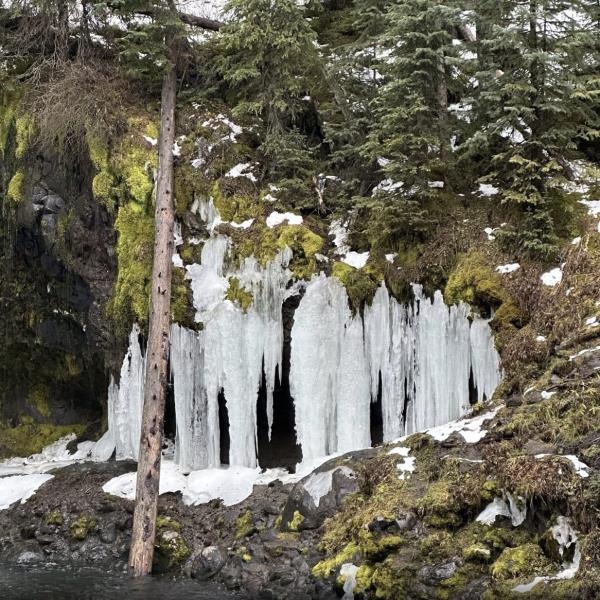 Rott was climbing around Grotto Falls in the Mo<em></em>ntana forest when he fell and was critically injured