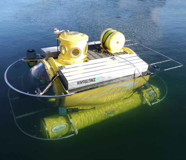 OceanGate had a fleet of three five-person submersibles. It's first one was named Antipodes (pictured), and could reach a depth up to 1,000 feet.