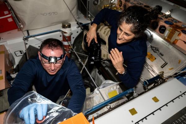 NASA astro<em></em>nauts Butch Wilmore, left, and Suni Williams inspect safety hardware aboard the Internatio<em></em>nal Space Station on Aug. 9, 2024.