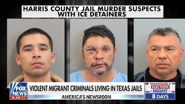 Mugshots of three illegal immigrants accused of crimes in Harris County.