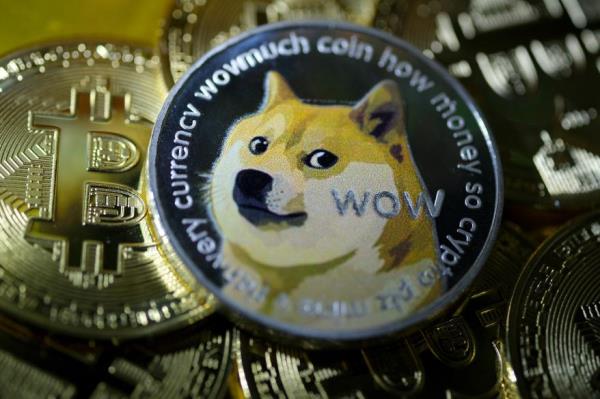 Dogecoin and Bitcoin are arranged for a dog who was diagnosed with leukemia.